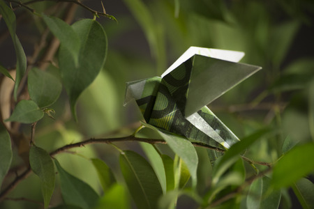 origami bird from banknotesの写真素材