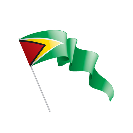 Guyana national flag, vector illustration on a white backgroundのイラスト素材