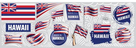 Vector set of flags of the American state of Hawaii in different designsのイラスト素材