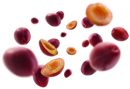 Red plums levitate on a white backgroundの写真素材