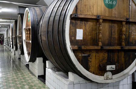 Storage of wine in barrels in the basement of the Massandra winery in the Republic of Crimea, Russia. September 15, 2020のeditorial素材