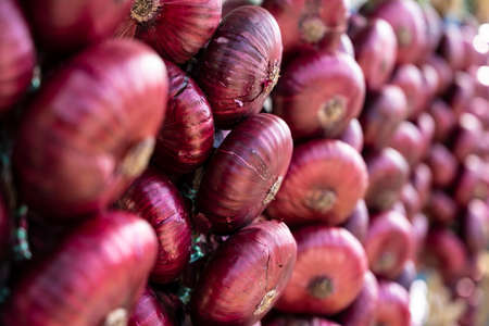 The famous Crimean red onion hangs in a bundleの写真素材