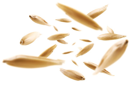 Oat grains levitate on a white background