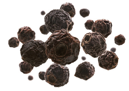 Dried hawthorn berries levitate on a white backgroundの写真素材