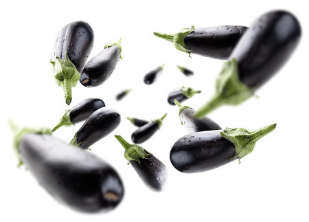 Ripe eggplants levitate on a white backgroundの写真素材
