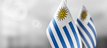 Small national flags of the Uruguay on a light blurry backgroundの写真素材