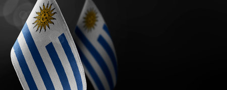 Small national flags of the Uruguay on a dark backgroundの写真素材