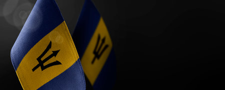 Set of the national flag of Barbados on a white background