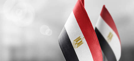 Small national flags of the Egypt on a light blurry backgroundの写真素材