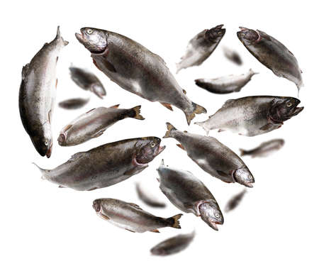 Rainbow trout in the shape of a heart on a white backgroundの写真素材