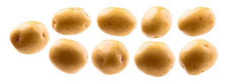 A set of potatoes. Isolated on a white backgroundの写真素材