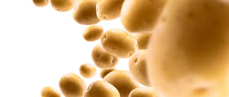 Golden potatoes levitate on a white backgroundの写真素材