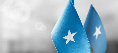 Small national flags of the Somalia on a light blurry background