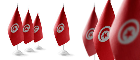 Set of Tunisia national flags on a white backgroundの写真素材
