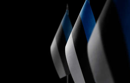 Small national flags of the Estonia on a black backgroundの写真素材