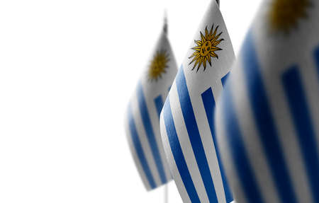 Small national flags of the Uruguay on a white backgroundの写真素材