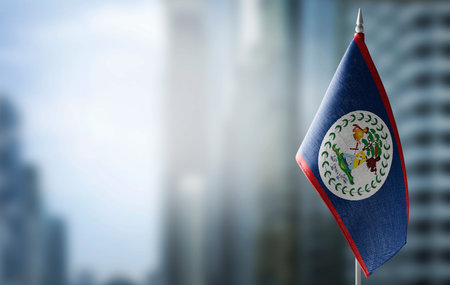 A small flag of Belize on the background of a blurred backgroundの写真素材