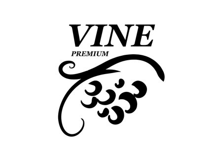 Vector logo drawn by hand. Bunch of grapes for making wineのイラスト素材