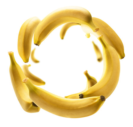 Yellow bananas levitate on a white backgroundの写真素材