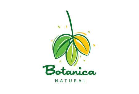 Logo with the inscription Botanica and painted leavesのイラスト素材