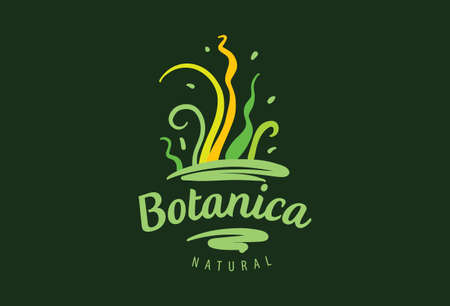 Logo with the inscription Botanica and painted leavesのイラスト素材