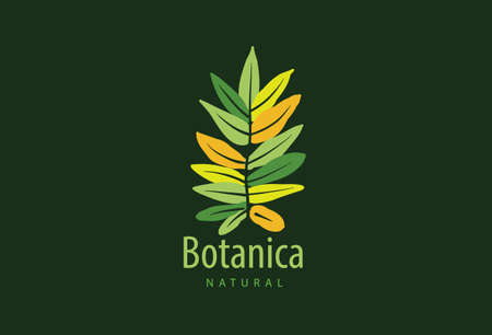 Logo with the inscription Botanica and painted leavesのイラスト素材