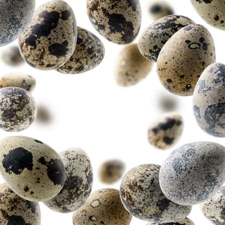 Quail eggs in flight on a white backgroundの写真素材