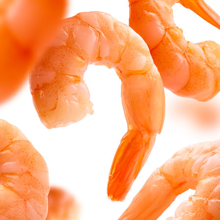 Boiled prawns levitate on a white backgroundの写真素材