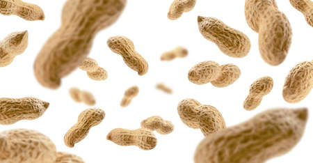Peanuts in the shell levitate on a white background