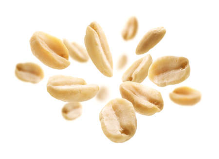 Peeled peanuts levitate on a white backgroundの写真素材