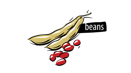 Drawn beans isolated on a white background.のイラスト素材