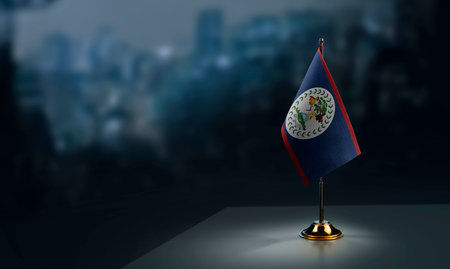 A small Belize flag on an abstract blurry background.