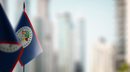 A small Belize flag on an abstract blurry background.