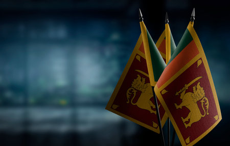 Small flags of the Sri Lanka on an abstract blurry background.の写真素材