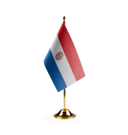 Small national flag of the Paraguay on a black background.の写真素材