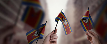 A group of people holding small flags of the Swaziland in their hands.の写真素材