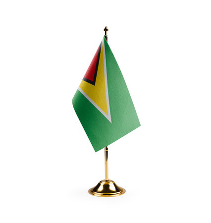Small national flag of the Guyana on a white background.の写真素材