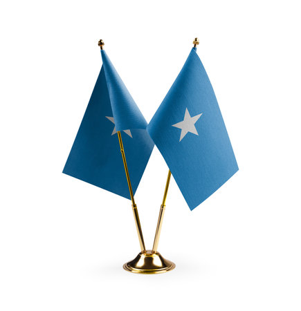 Small national flags of the Somalia on a white background.の写真素材