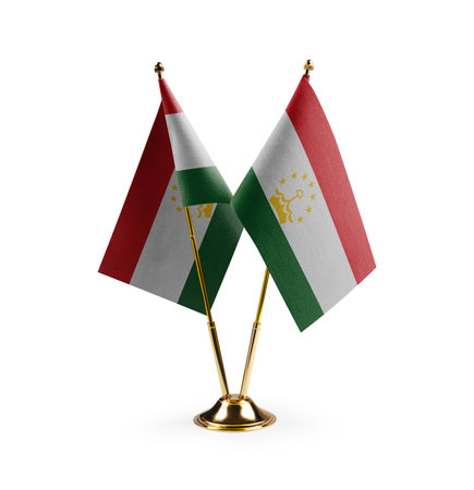 Small national flags of the Tajikistan on a white background.の写真素材