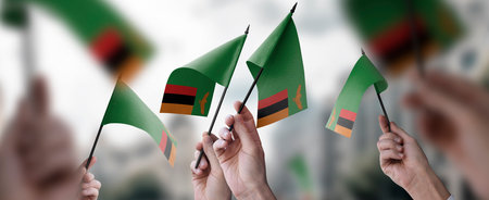 A group of people holding small flags of the Zambia in their hands.の写真素材