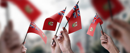 A group of people holding small flags of the Bermuda in their hands.の写真素材