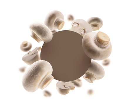 Mushrooms champignons on a white background. The template for packagingの写真素材