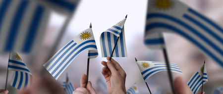 Uruguay flags in their hands on a blurred urban backgroundの写真素材