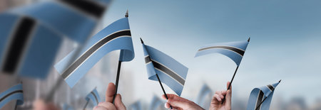 Botswana flags in their hands on a blurred urban background