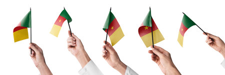 The Cameroon flag in hand in different angles on a white backgroundの写真素材