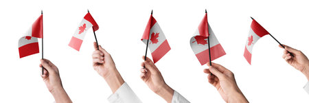 The Canada flag in hand in different angles on a white backgroundの写真素材