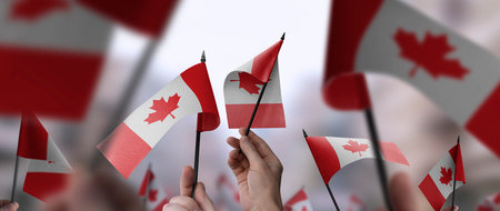 Canada flags in their hands on a blurred urban backgroundの写真素材