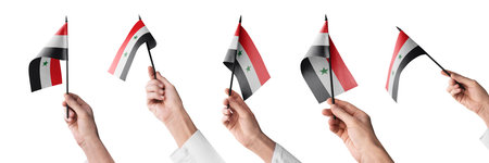 The Syria flag in hand in different angles on a white background