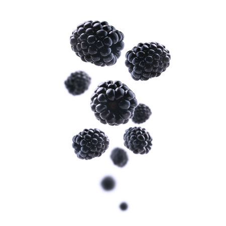 Fresh, juicy blackberries levitate on a clean, bright white backgroundの写真素材