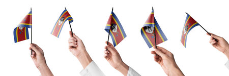 The Swaziland flag in hand in different angles on a white backgroundの写真素材
